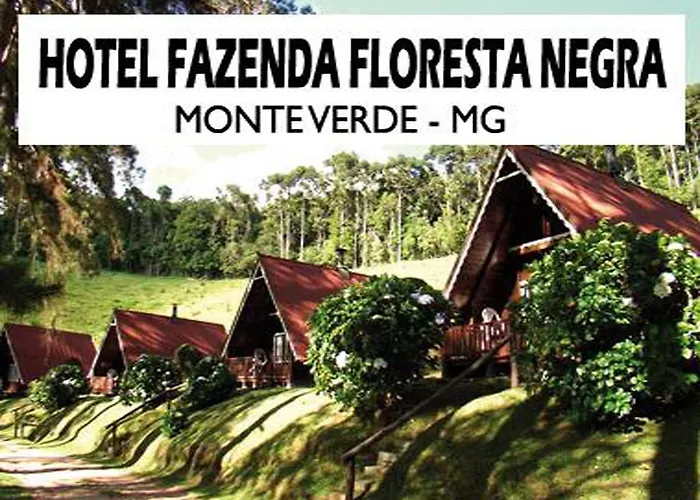 Fazenda Floresta NegraHotel Em